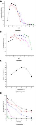 Ultrasound-Assisted Production of Xylo-Oligosaccharides From Alkali-Solubilized Corncob Bran Using Penicillium janthinellum XAF01 Acidic Xylanase